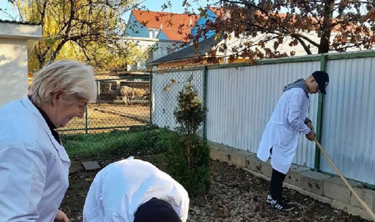 Осіння висадка квітів
